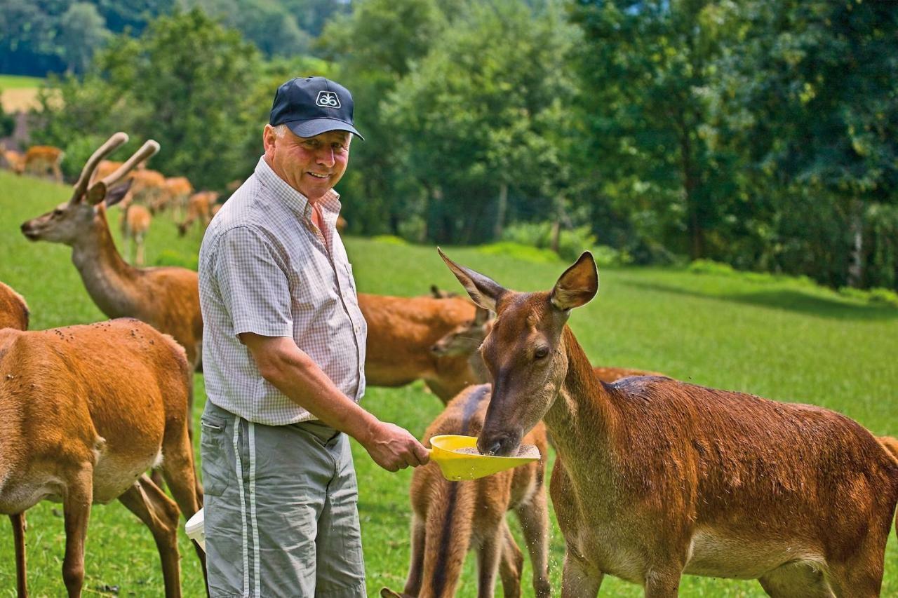 Gaestezimmer Buchegger Krumbach  ภายนอก รูปภาพ